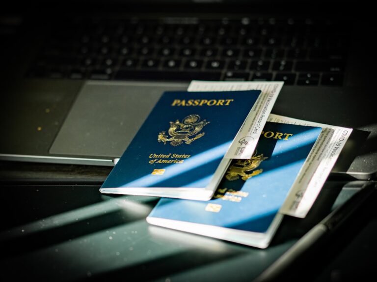 electronic visa